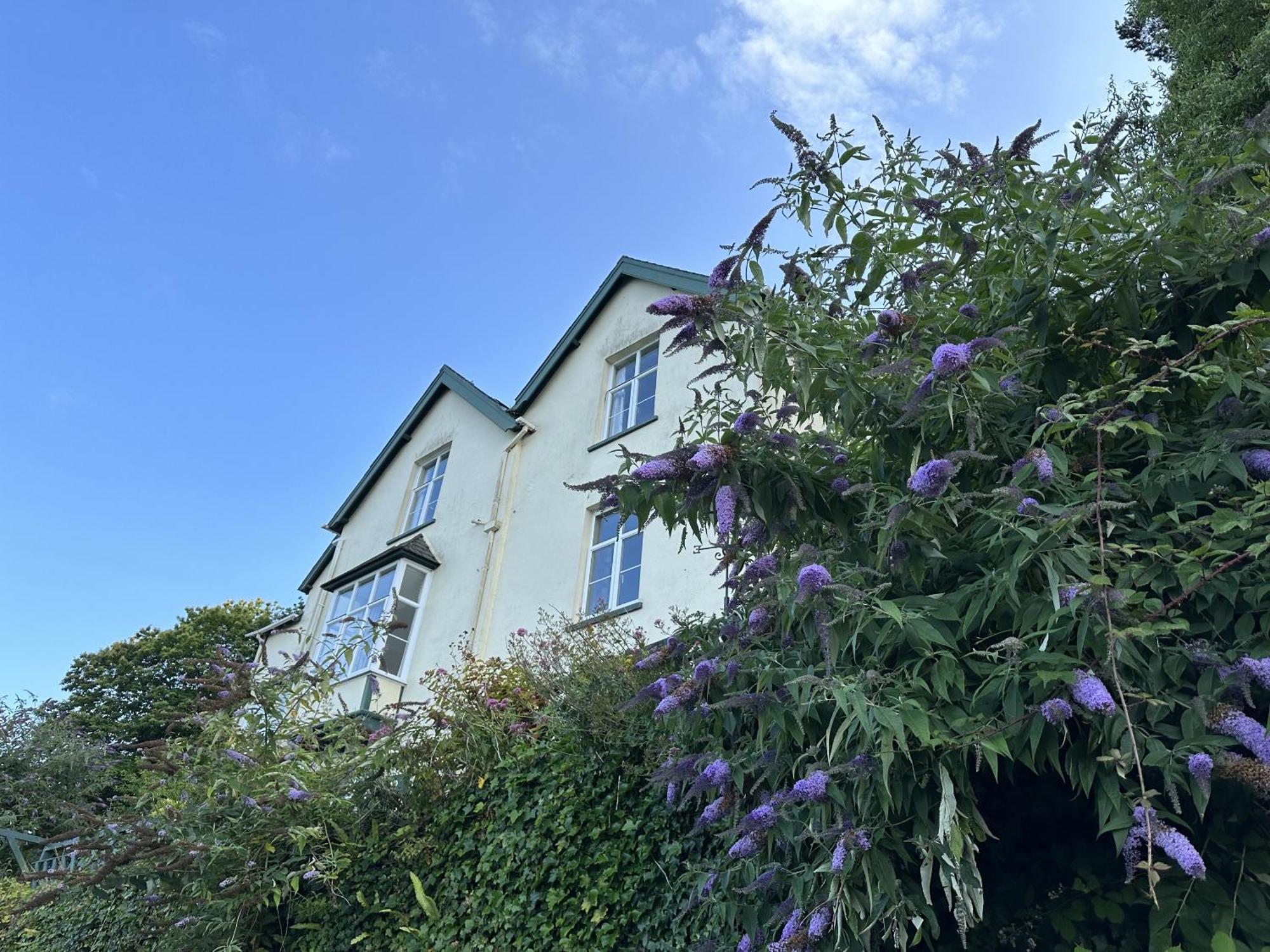 Bed and Breakfast North Walk House Линтон Экстерьер фото